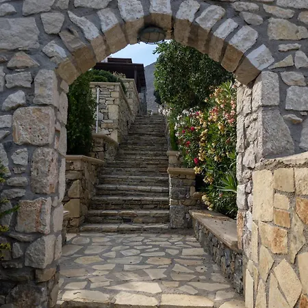 Krinakia *